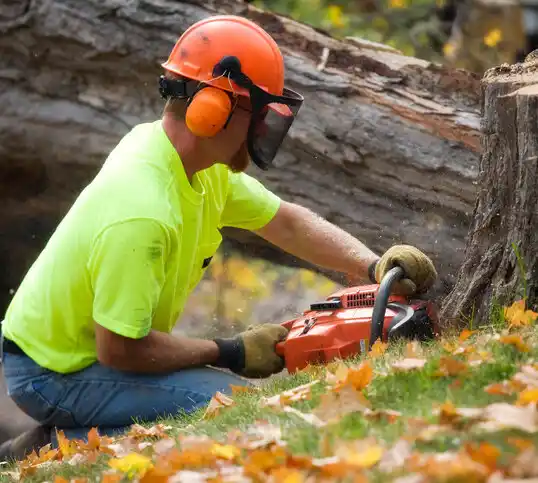 tree services Arnold